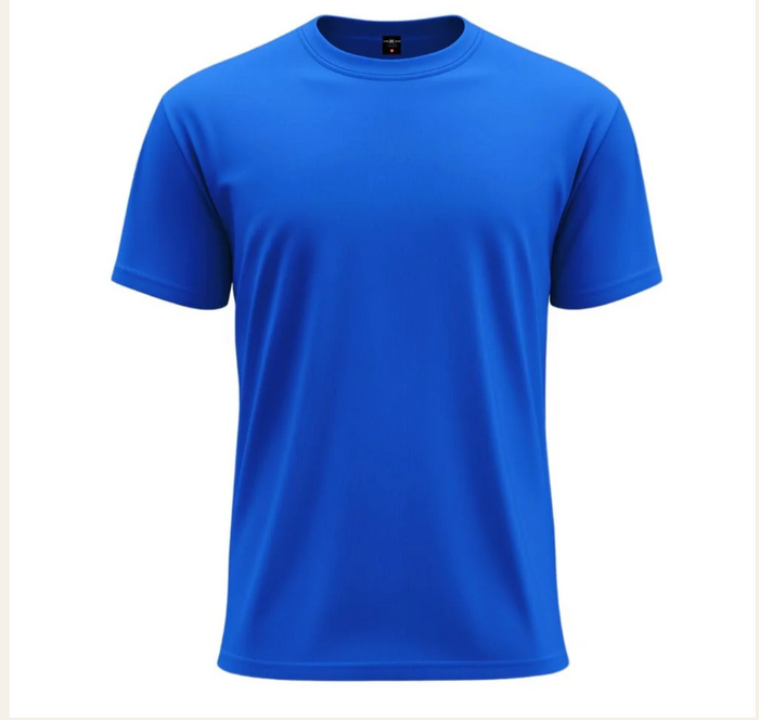 Blue T- Shirt